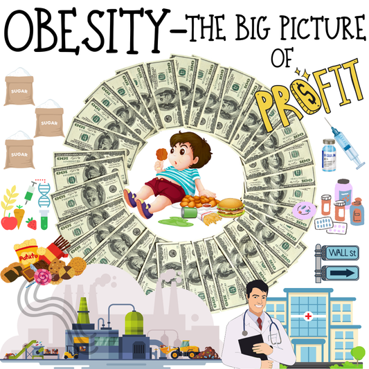 Obesity- The Big Picture of Profit