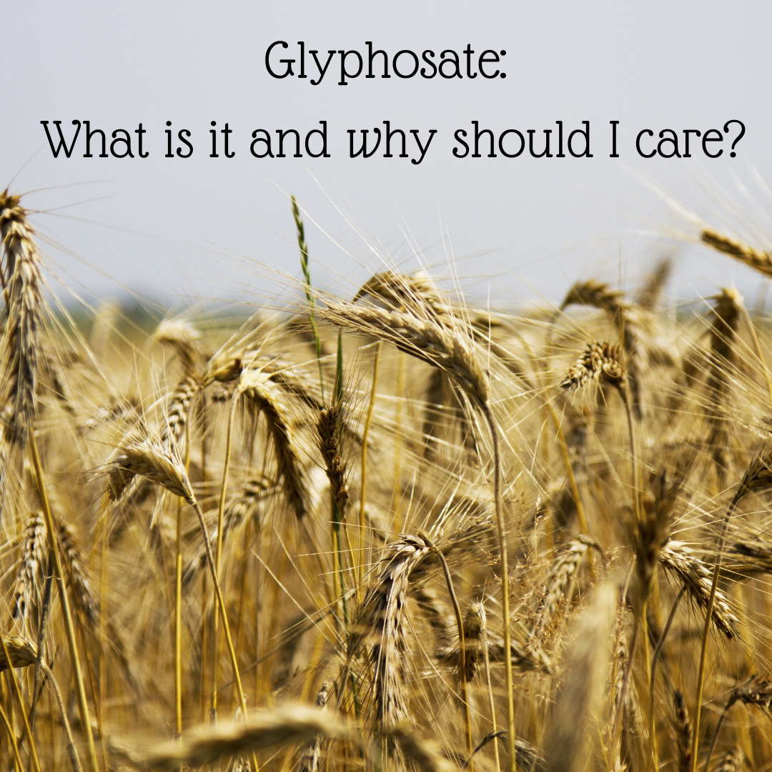 Glyphosate: What is it and why should I care?