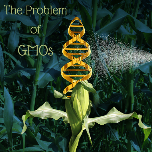 The Problem of GMOs