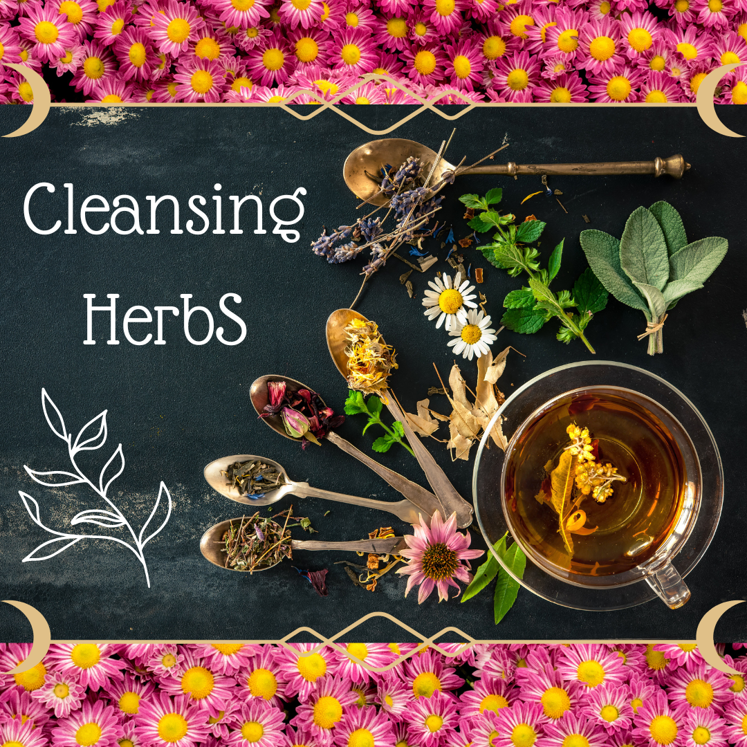 Cleansing Herbs