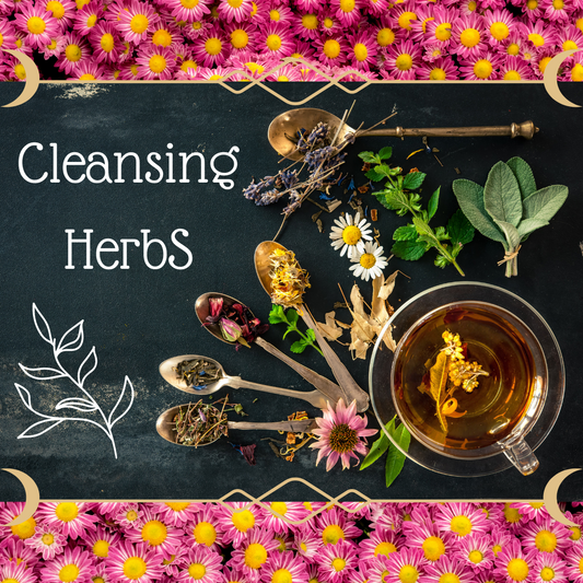 Cleansing Herbs
