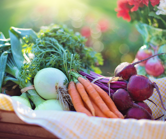 Functional Nutrition Counseling Session